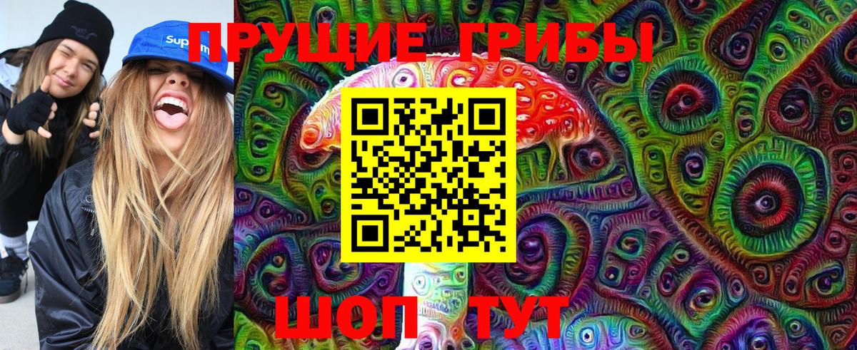 Псилоцибиновые грибы Psilocybe  Псилоцибиновые грибы MAGIC MUSHROOMS  Кудрово  Вход с VPN 