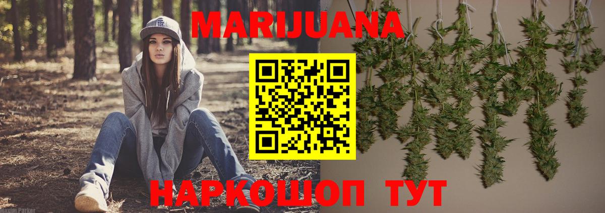 Бошки Шишки Bruce Banner  Вход с VPN  Марихуана VHQ  Кудрово  Каннабис планчик 